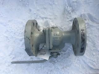 3"x2" 10N80 Ball Valve.