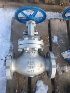 2" Class 300 Gate Valve.