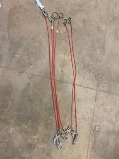 (6) 6' (Dog Leash) Safety Lanyards (E-1,4,2)