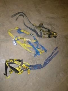 (3) Safety Harnesses (E-2,1,1)