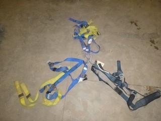 (3) Safety Harnesses (E-2,1,1)