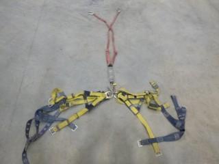 (1) Safety Lanyard, (2) Safety Harnesses (E-2,1,1)