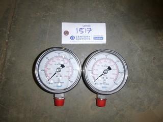 (2) 4000 KPA Sour Service Gauges (E-2,3,1)