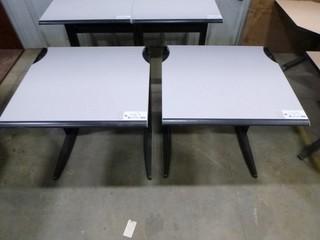 (2) 28 1/2" x 30" Desk