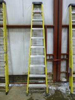 10' Featherlite Ladder Model 6910, Working load-300lbs