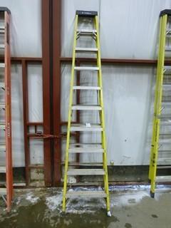 10' Featherlite Ladder Model 6910, Working load-300lbs