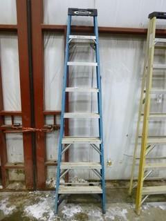 8' Werner Ladder Model FS108CA, Working Load-250lbs