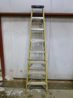 8' Werner Ladder