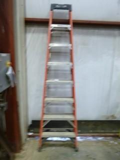 8' Werner Ladder, Working Load-300lbs