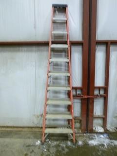 10' Sturdy Ladder, Working Load-300lbs