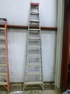 10' Bon Ladder