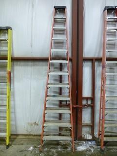 12' Sturdy Ladder, Working Load-300lbs