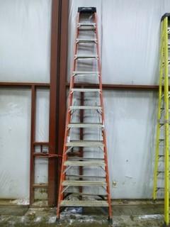 12' Werner Ladder, Working load-300lbs