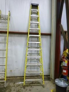 12' Featherlite Ladder, Working Load-300lbs