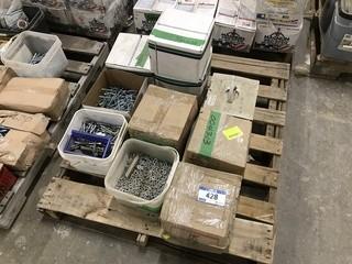 Lot of Asst. Lag Bolts, Washers, Screws, etc.