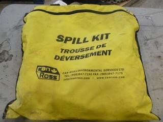 Spill Kit, C/w Bag (W-1-3-3)