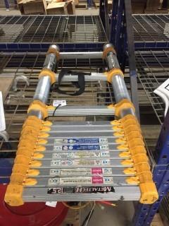 Metaltech Telescoping Ladder.