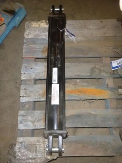 Lion 3000 Hydraulic Cylinder, 3 1/2" Bore x 24" Stroke, Pt 35TH24-150