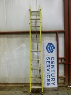 Featherlite 20' Extension Ladder