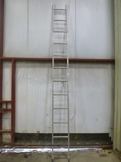 Featherlite 12' Ladder