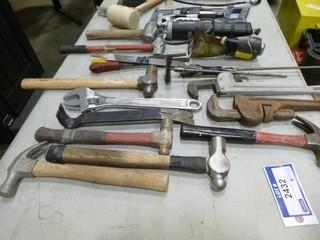 Rubber Mallet, Framing and Ball Peen Hammers, Hacksaws, Chisels, Grease Guns, Spade Bits, Files (W-4-3-3)