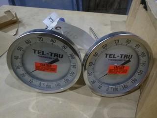 (2) Tel-Tru Industrial Thermometers