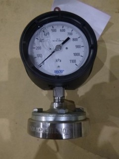 Wika 0-1100KPA Pressure Gauge