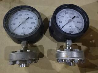(2) Wika 700Kpa Pressure Gauges