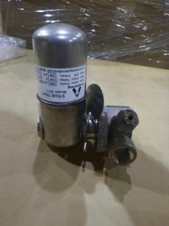 (2) Armstrong Model 2011 Steam Traps