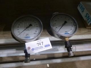 (2) Mock Pressure Gauges