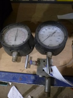 (2) Pressure Gauges