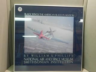 Black Wings "The American Black in Motion".