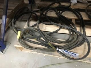 Assorted V-Belts.