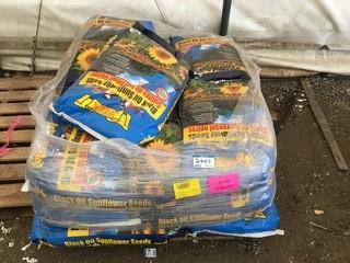 (17) Black Oil Sunflower Seeds 40LBS Bags .