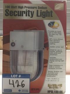 100 Watt Security Light.