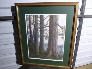 Ward Travis, "Cedars in the Moss" Picture, 25 1/4" x 39 3/4", 54/250, Number 54/250