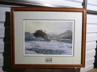 Eagle Picture, 21" x 26"