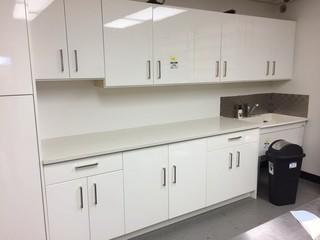 Cabinets with Quartz Counter Tops