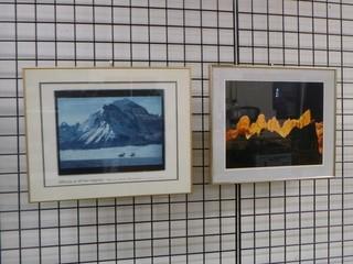 (2) Framed Pictures (Mountains)