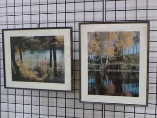 (2) Framed Pictures (Trees/Lake)