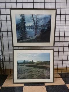 (2) Framed Pictures (Mountains)