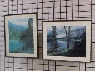 (2) Framed Pictures (Mountains/Trees/Lake)