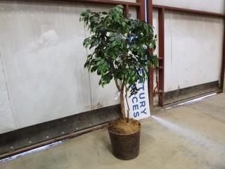 6' Artificial Plant