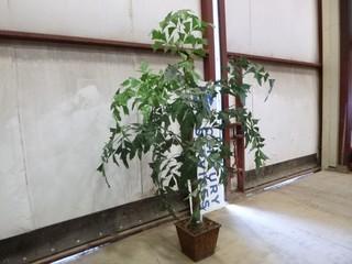 7' Artificial Plant