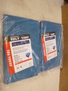 (2) New 10' x 10' Tarps (A2)