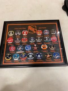 (1) NHL Collector Edition Pins Of Each Teams Jersey 