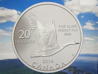 Canada $20 Pure 9999 Silver Coin Goose