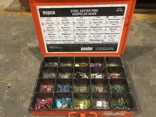 Papco Case w/ Assorted Fuses.