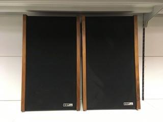 (2) ElectroStatic Translator Speakers