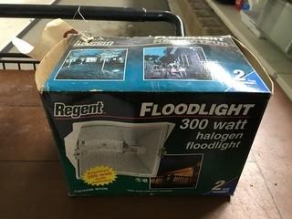 Regent 300 Watt Halogen Flood Light.